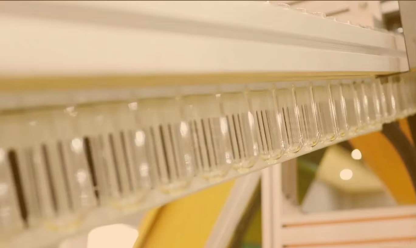 High speed stainless steel air conveyor suspension system transporting blown PET bottles smoothly to downstream filling line — Sailwin
